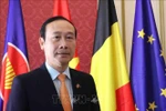 越南驻比利时王国特命全权大使、越南驻欧盟代表团团长阮文草接受越通社记者采访。图自越通社