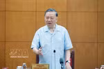 越共中央总书记、国家主席苏林在党中央总部主持召开与中央政策与战略部及相关机构的工作会议。图自越通社