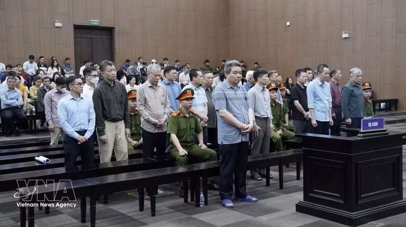 被告人出庭受审。图自越通社