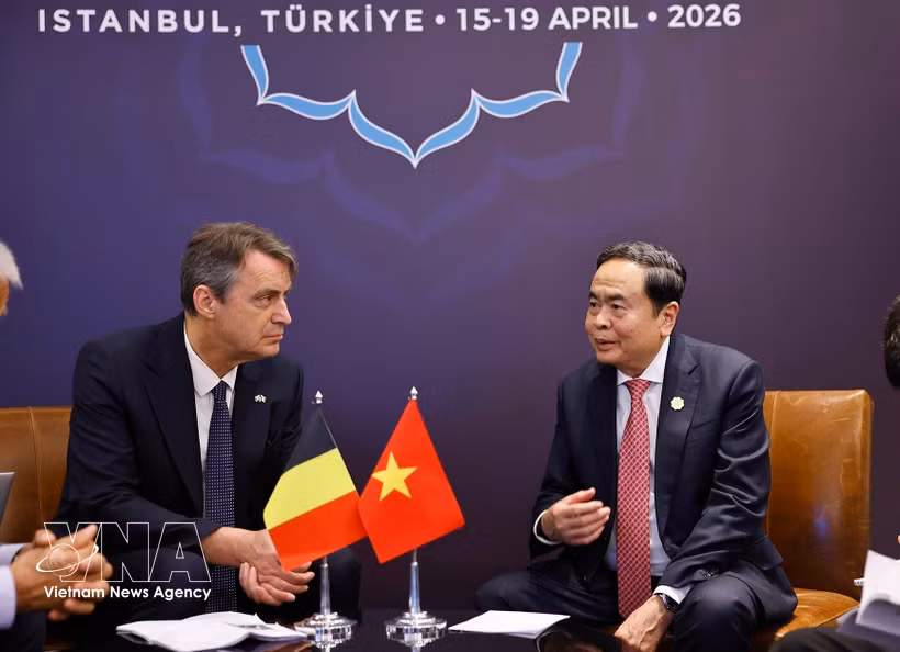 越南国会主席陈青敏会见比利时联邦参议院议长文森特·布隆代尔。图自越通社