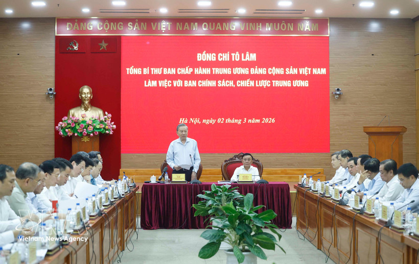 苏林总书记在会议上发表讲话。图自越通社