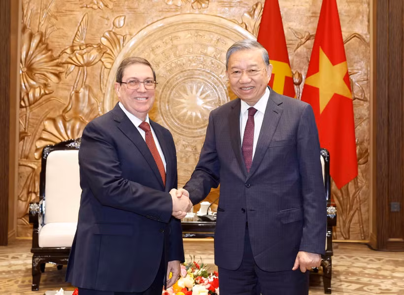 苏林总书记与古巴党和国家特使布鲁诺·罗德里格斯·帕里利亚。图自越通社