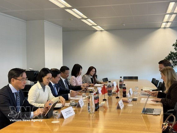 越南与瑞士代表团举行双边会晤。图自越通社