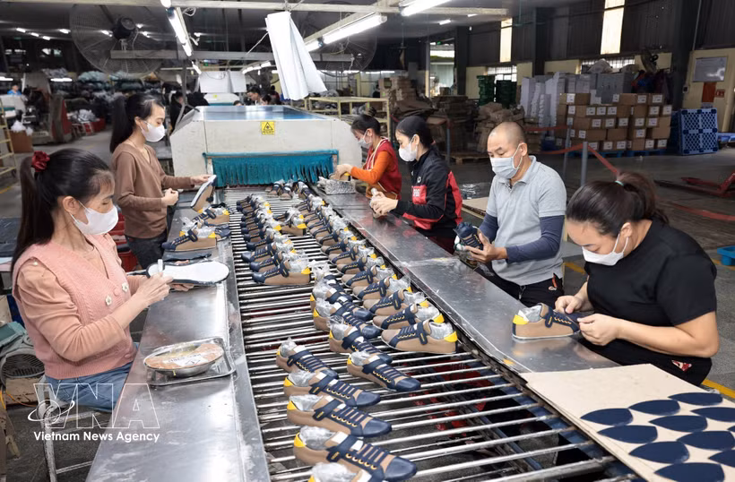皮革制鞋是越南主要出口产品之一。图自越通社