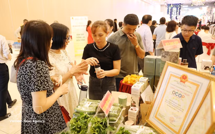 有机农业生产创造更加美好的未来。图自越通社