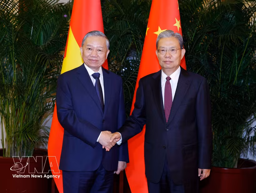 越共中央总书记、国家主席苏林会见中国全国人大常委会委员长赵乐际。图自越通社