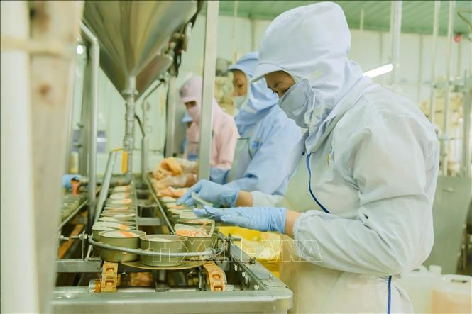 资料图。图自越通社