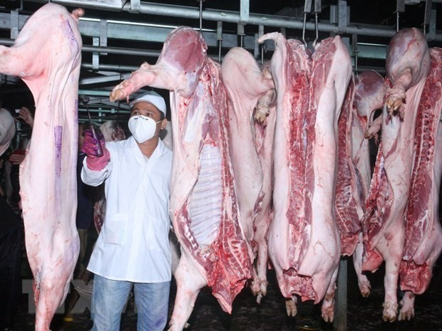 资料图。图自越通社