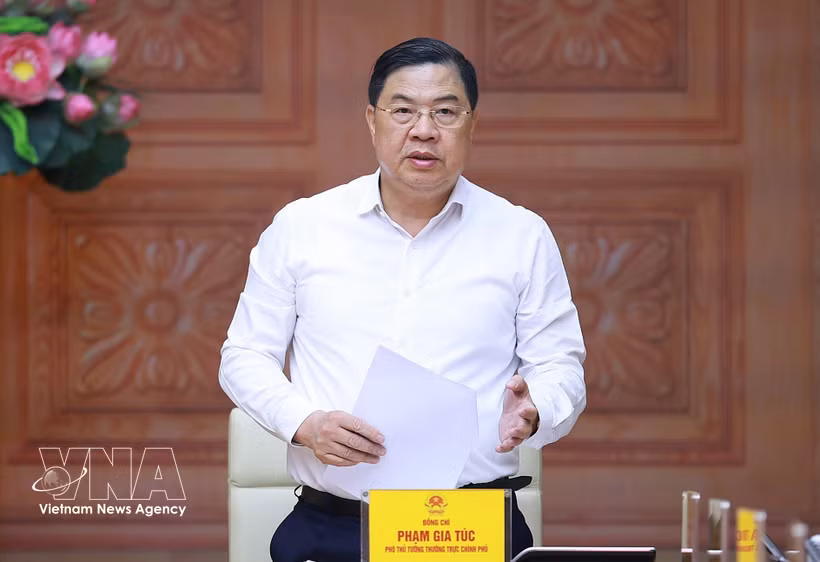 政府常务副总理范家足担任2027 APEC国家委员会主任。图自越通社