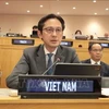 越南常驻联合国代表团团长杜雄越大使发言。图自越通社