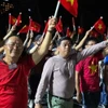旅外越侨与祖国同频共振。图自越通社