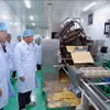 在老越侨企业日益巩固其在经济发展中的重要作用。图自越通社