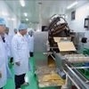在老越侨企业日益巩固其在经济发展中的重要作用。图自越通社