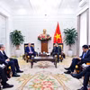 越南外交部常务副部长阮明羽会见新阿塞拜疆党代表团。图自越通社