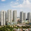 附图。图自越通社