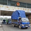 越南通过老街国际口岸向中国出口5400吨荔枝