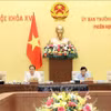国会常务副主席陈青敏在会上发言。图自越通社