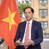 越南政府副总理兼外交部长裴青山。图自越通社