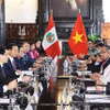 越南国家主席梁强与秘鲁总统迪娜·埃尔西利娅·博鲁阿尔特·塞加拉举行会谈。图自越通社