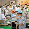 提升首都河内加工制造业的作用