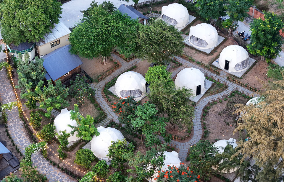 胡志明市芹耶县龙和乡Lata Camping露营区的度假帐篷区。图自越通社