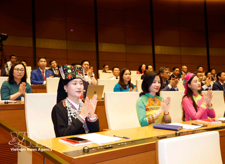 出席第十六届国会第一次会议的代表们。图自越通社