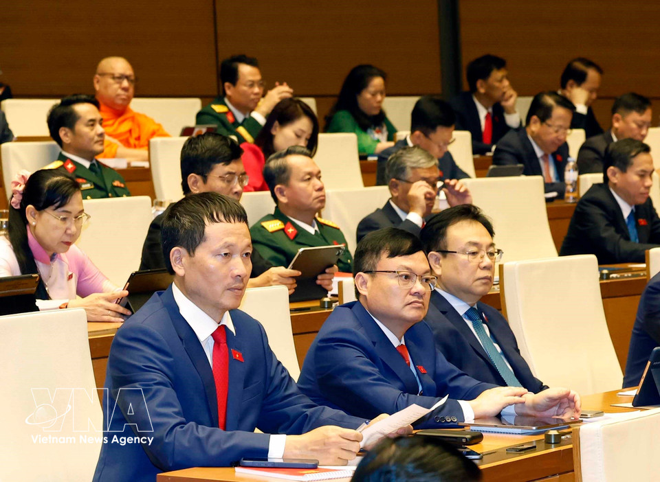 出席第十六届国会第一次会议的代表。图自越通社