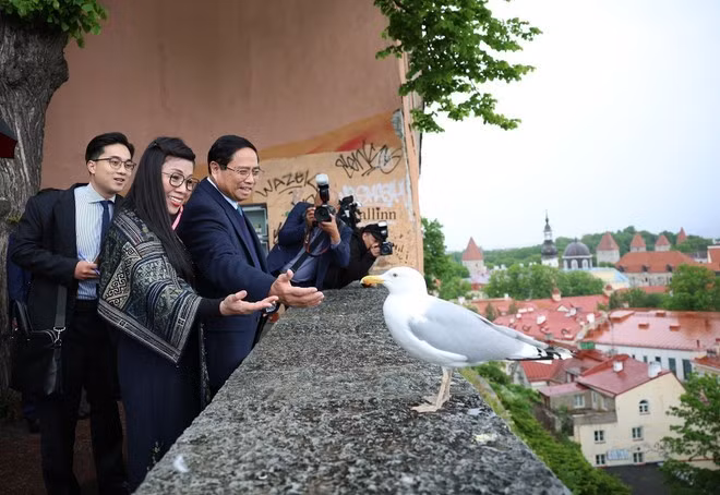 越南政府总理范明政夫妇参观塔林古城。塔林古城历史中心,位于爱沙尼亚北部波罗的海岸边,是爱沙尼亚首都,与芬兰首都赫尔辛基之间隔了80千米宽的芬兰湾。图自 越通社
