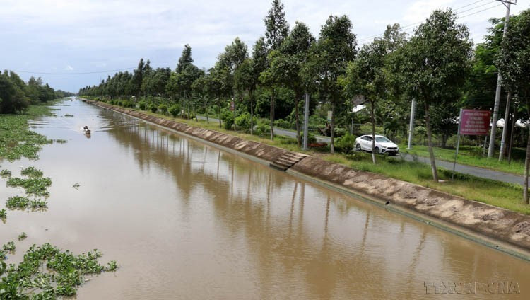 坚江省榕江县的新露河堤防加固工程。图自：越通社