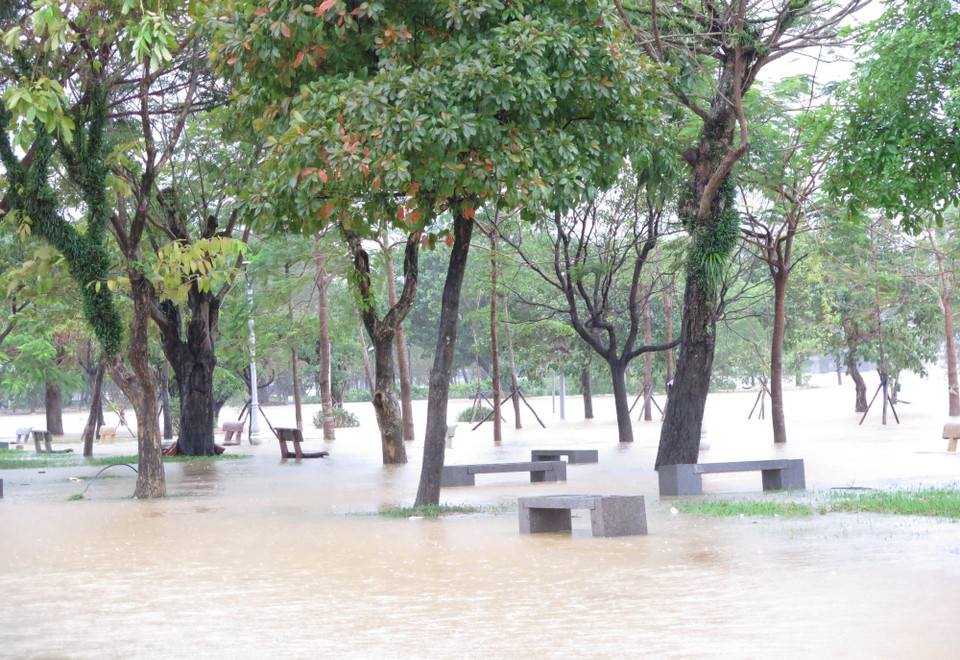 11月17日上午，顺化市香江南岸的公园因香江洪水上涨而被淹。图自越通社