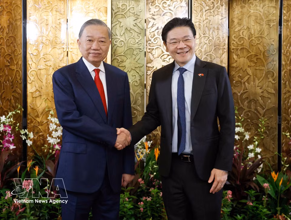 越共中央总书记、国家主席苏林与新加坡总理黄循财举行会谈。图自越通社