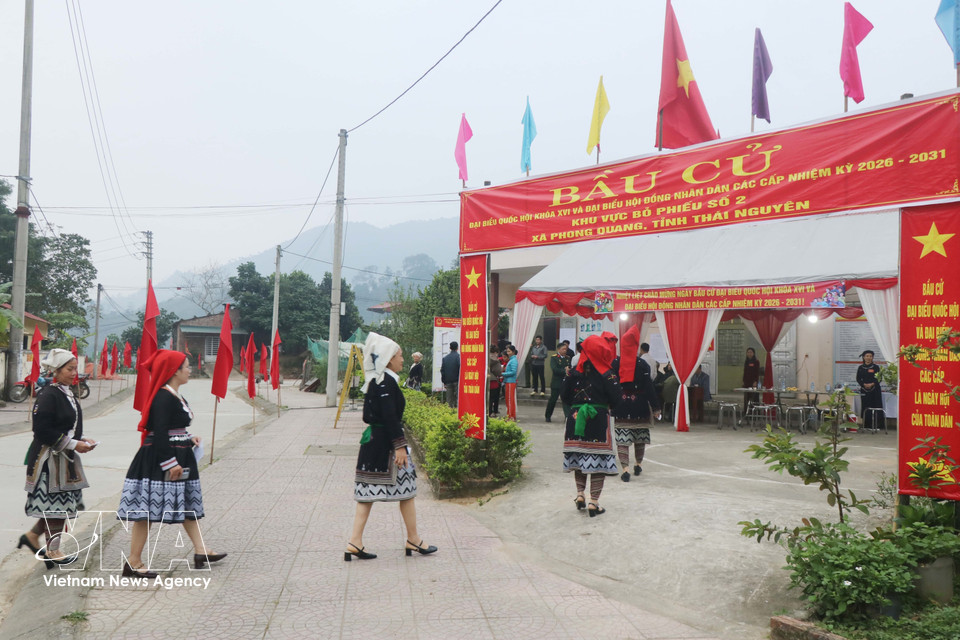 太原省丰光乡第二号投票站的选民从各条道路汇聚而来，踊跃前往投票站行使公民权利。图自越通社