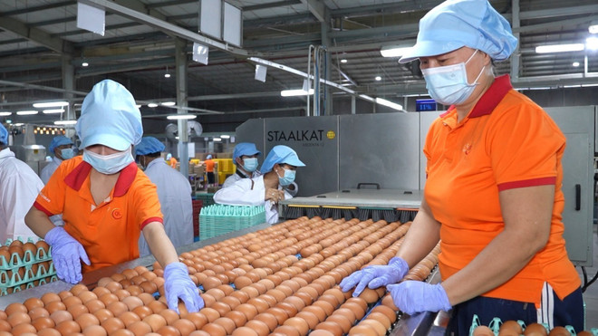 资料图。图自越通社 vna-potal-khai-mo-thi-truong-halal-cho-bien-gioi-tay-nam-va-vung-dbscl-8300647.jpg