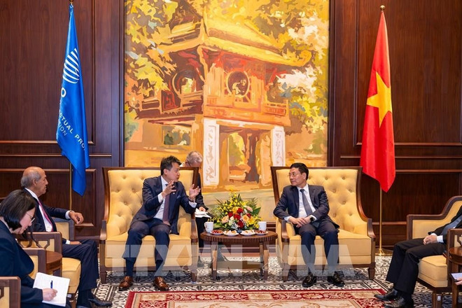 世界知识产权组织总干事邓鸿森与越南科学技术部长阮孟雄举行工作会谈。图自越通社 135349-tong-giam-doc-to-chuc-so-huu-tri-tue-the-gioi-wipo-lam-viec-tai-viet-nam.jpg