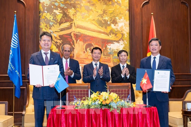 越南知识产权局已同世界知识产权组织签署知识产权领域合作谅解备忘录。图自越通社 135340-tong-giam-doc-to-chuc-so-huu-tri-tue-the-gioi-wipo-lam-viec-tai-viet-nam.jpg