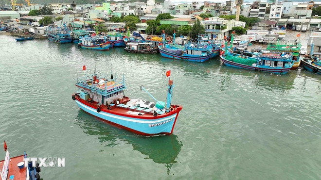 资料图。图自越通社 gia-lai-cham-dut-khai-thac-iuu-1607-1.jpg