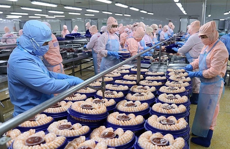 越南与以色列贸易强劲增长。图自互联网