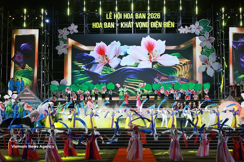 2026年羊蹄甲花节开幕式现场。图自越通社