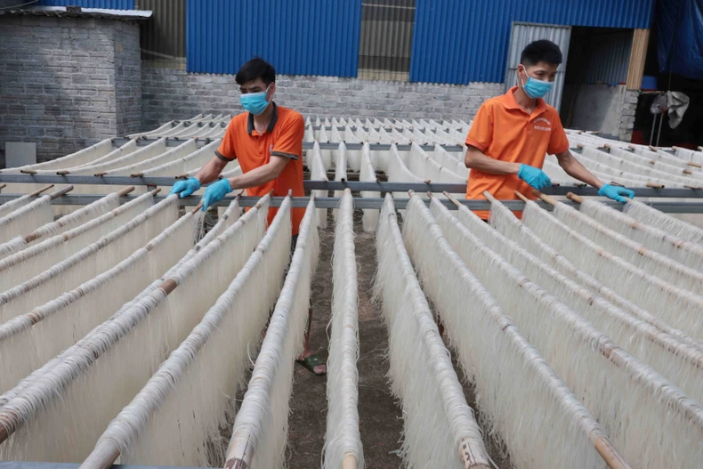 附图 图自越通社