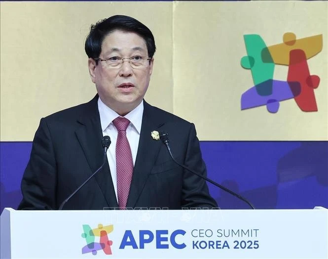 越南国家主席梁强发言。图自越通社