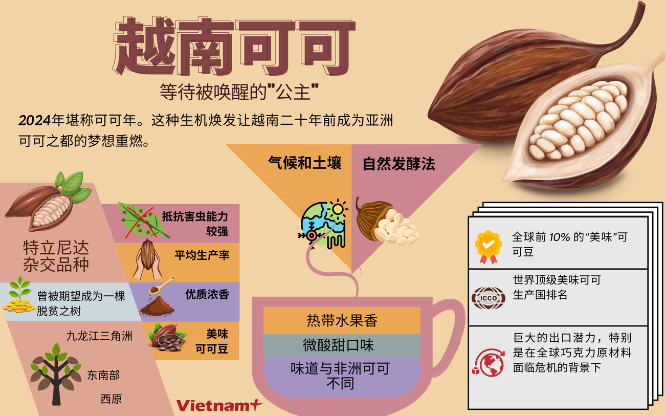 Copy of Ca cao Việt Nam.png