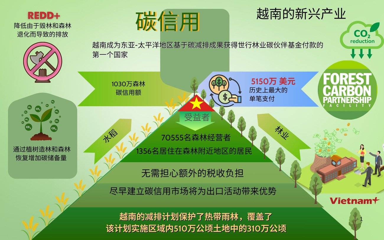 Mở khóa thị trường tín chỉ carbon cho Việt Nam.jpg
