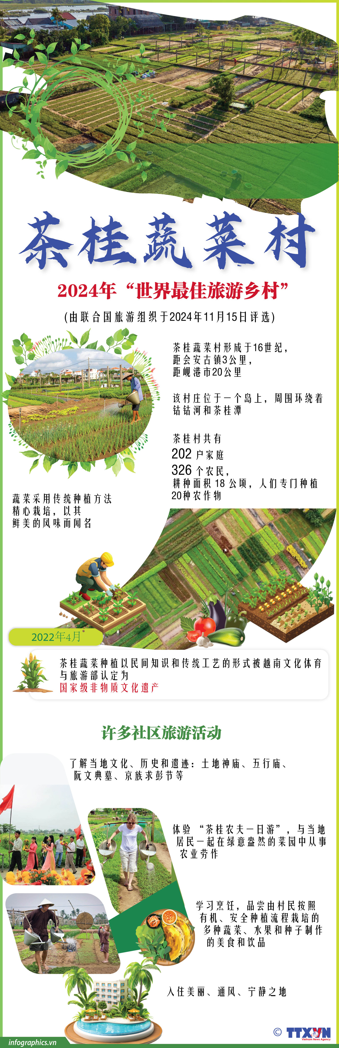 2024-11-16_vn-lang-rau-tra-que_V02_H84_H84.jpg