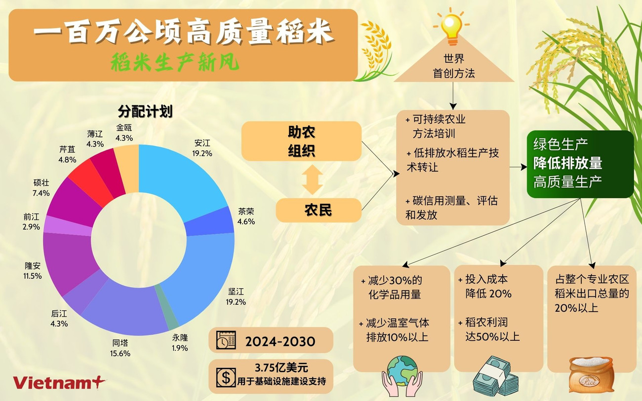 TQ - Kỳ vọng gì từ Đề án 1 triệu hécta lúa chất lượng cao.jpg