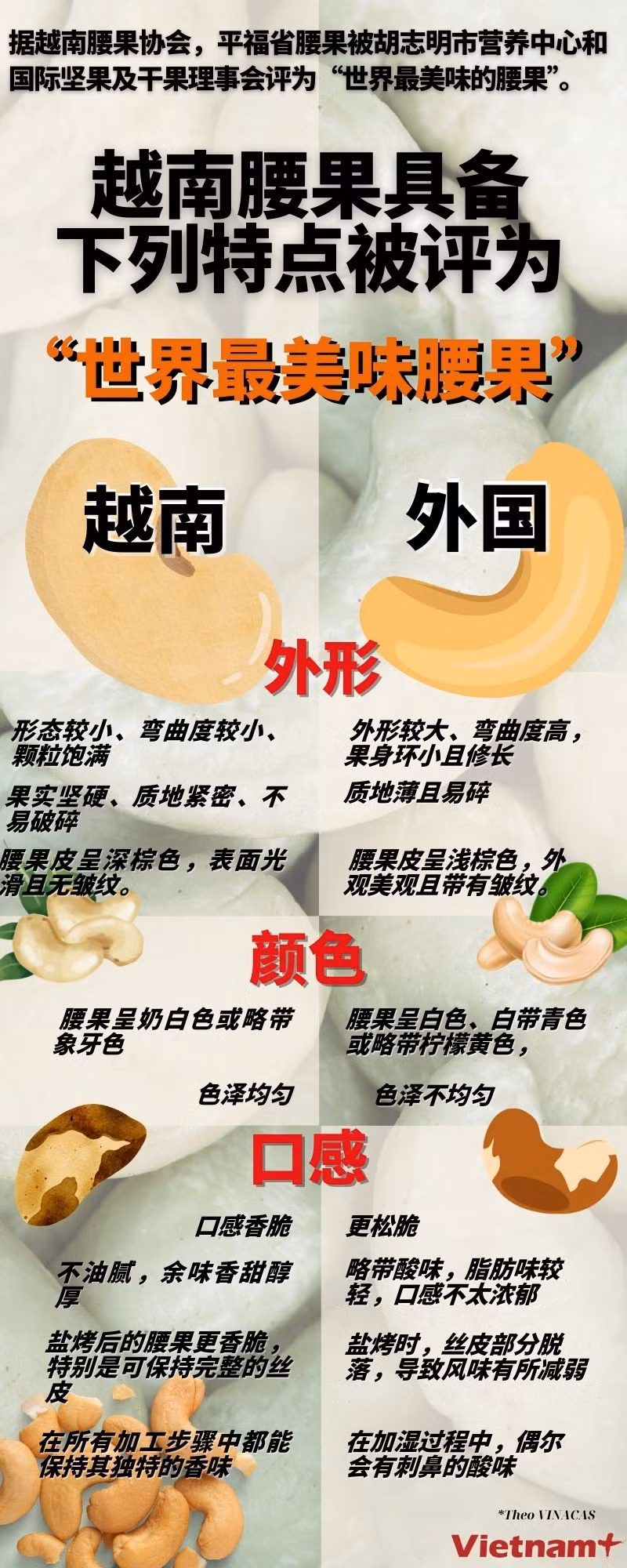 Dung --Copy of Vì sao hạt điều VN.jpg
