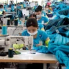 越南纺织服装产业在加拿大市场留下鲜明印记。图自越通社