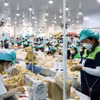 庆和省游隆工业园区一公司生产厂。图自越通社