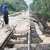 途经得乐省的一段铁路被洪水冲毁。图自越通社