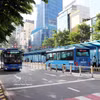 胡志明市公布自7月1日起134条免费公交线路。图自越通社