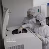 越南科技翰林院材料科学研究所实验室。图自越通社